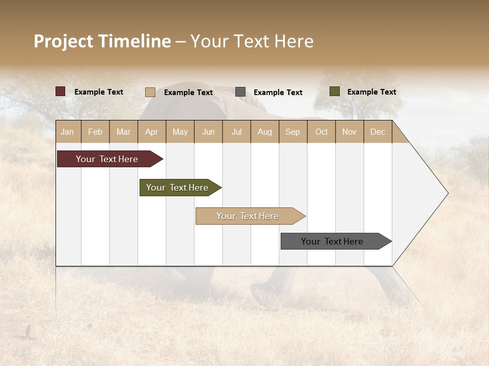Wildlife Elephant Africa PowerPoint Template