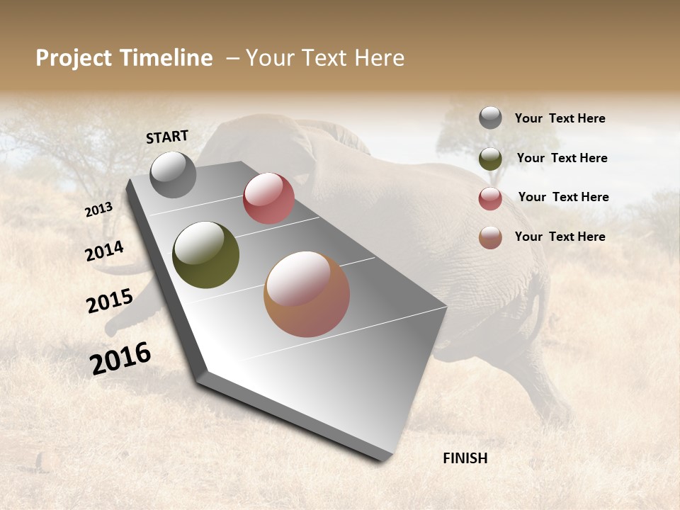 Wildlife Elephant Africa PowerPoint Template