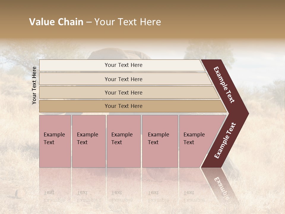Wildlife Elephant Africa PowerPoint Template