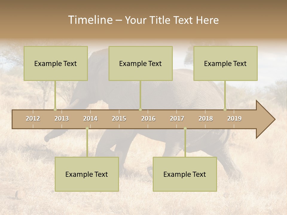 Wildlife Elephant Africa PowerPoint Template