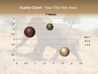 Wildlife Elephant Africa PowerPoint Template