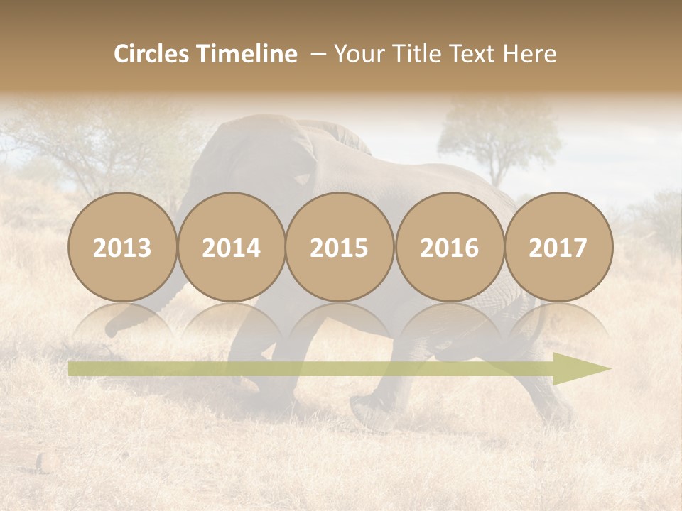 Wildlife Elephant Africa PowerPoint Template