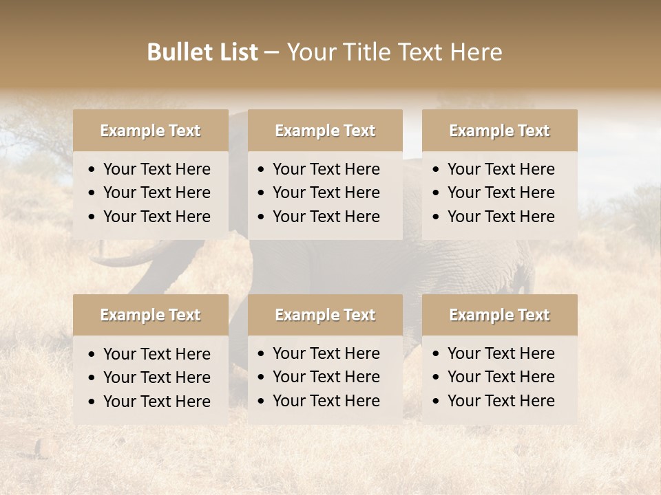 Wildlife Elephant Africa PowerPoint Template