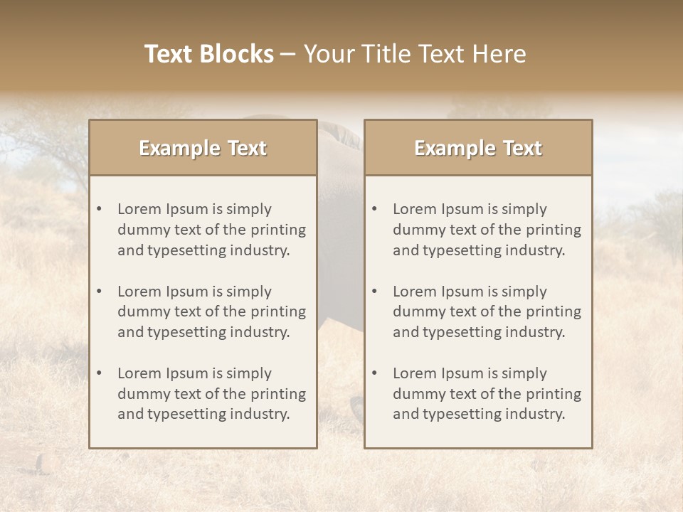 Wildlife Elephant Africa PowerPoint Template