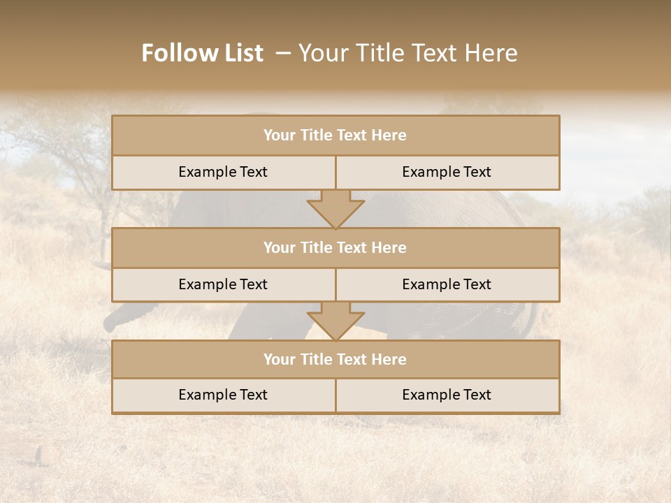 Wildlife Elephant Africa PowerPoint Template