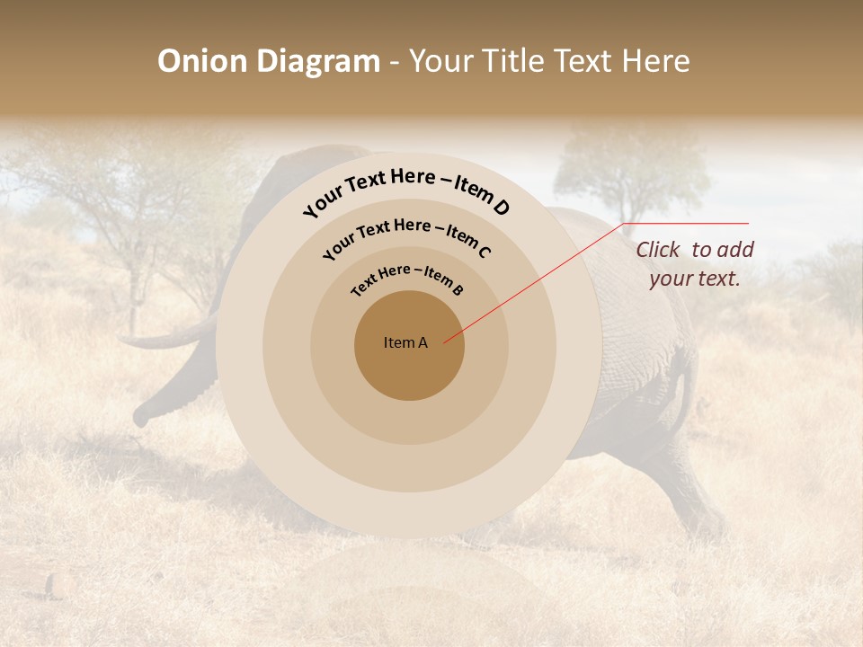 Wildlife Elephant Africa PowerPoint Template