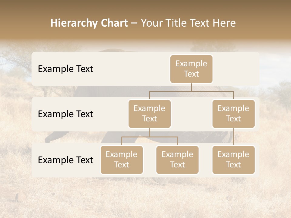 Wildlife Elephant Africa PowerPoint Template