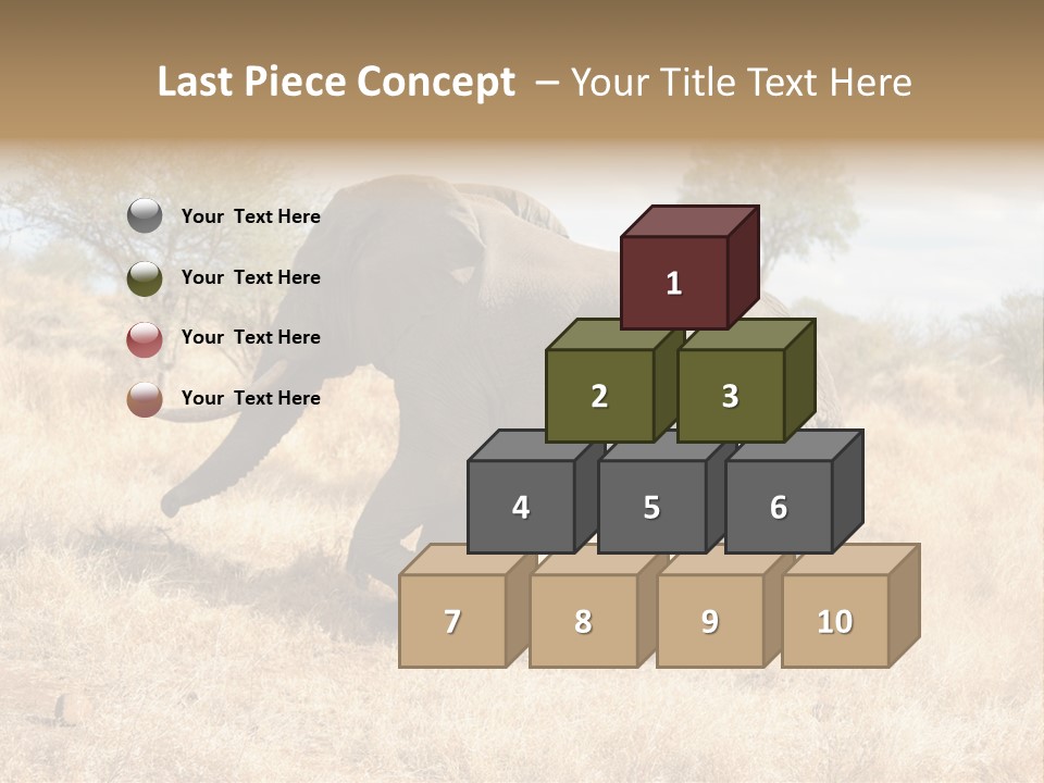 Wildlife Elephant Africa PowerPoint Template