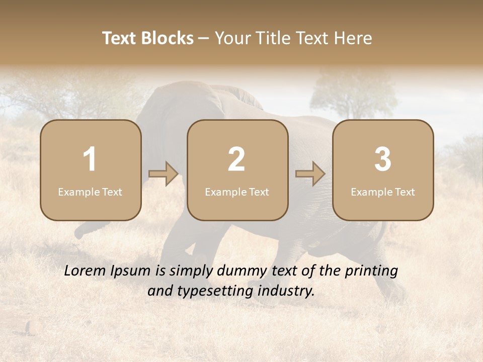 Wildlife Elephant Africa PowerPoint Template