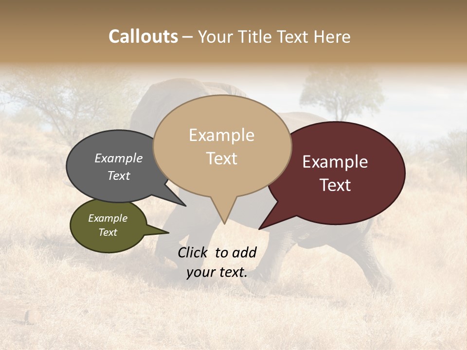 Wildlife Elephant Africa PowerPoint Template