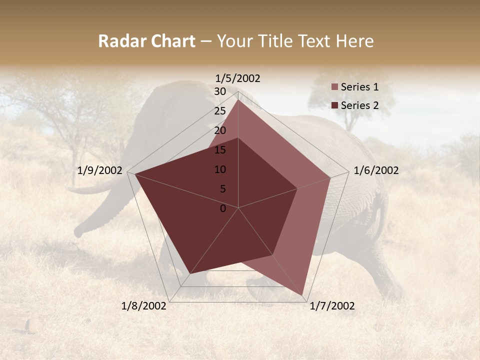 Wildlife Elephant Africa PowerPoint Template