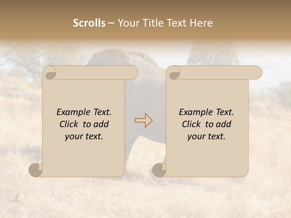 Wildlife Elephant Africa PowerPoint Template