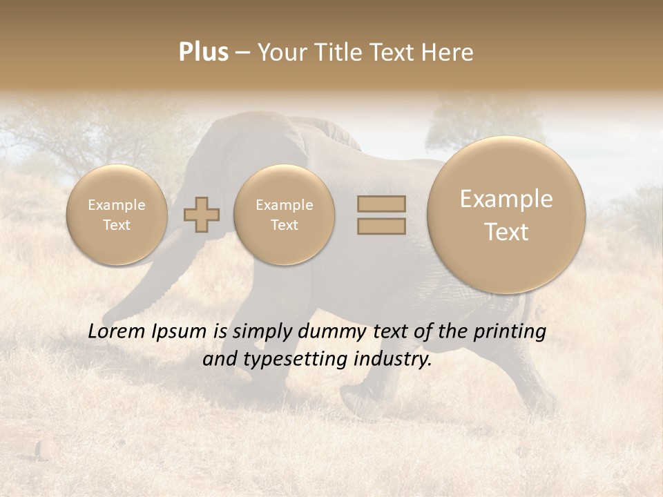 Wildlife Elephant Africa PowerPoint Template
