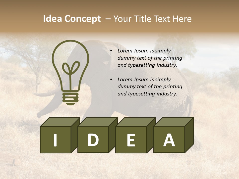Wildlife Elephant Africa PowerPoint Template
