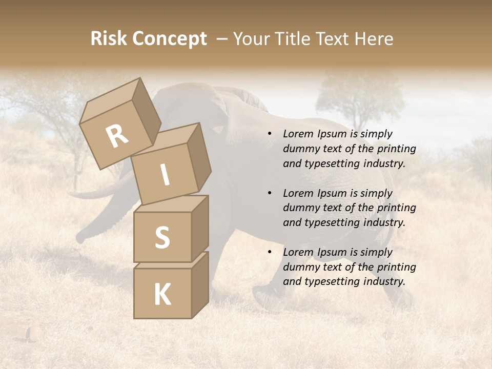 Wildlife Elephant Africa PowerPoint Template