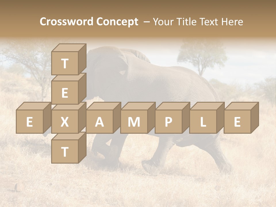 Wildlife Elephant Africa PowerPoint Template