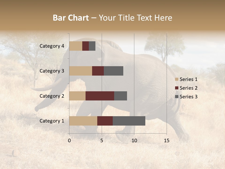 Wildlife Elephant Africa PowerPoint Template