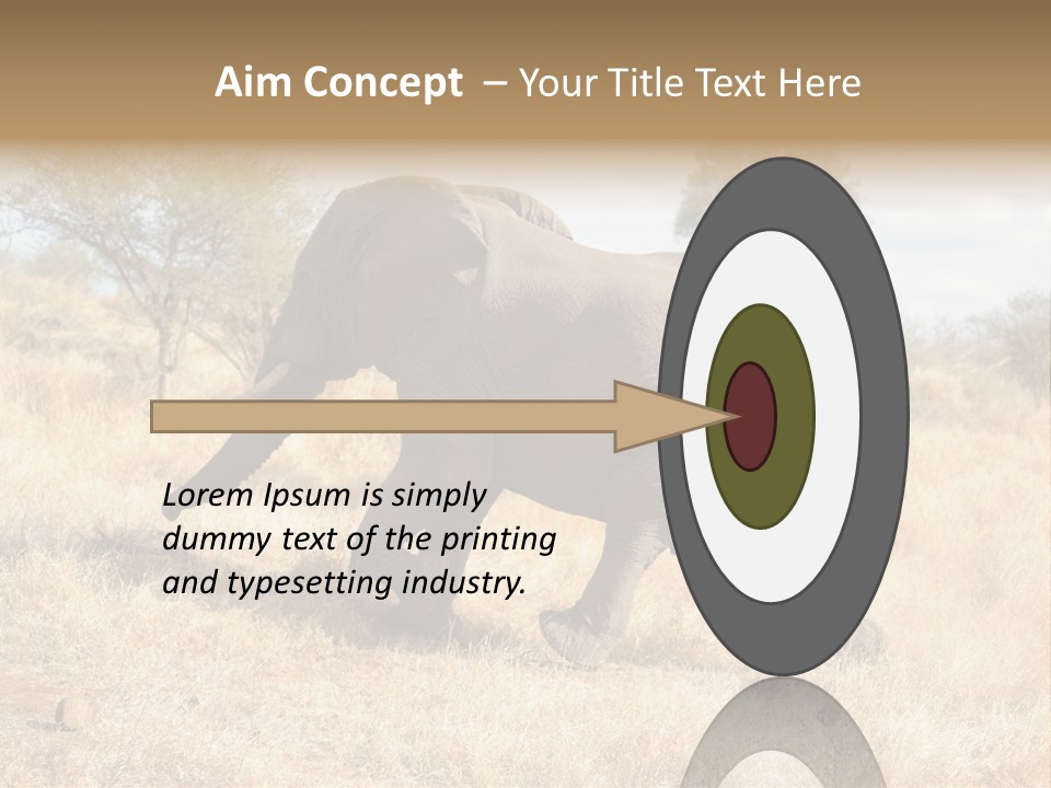 Wildlife Elephant Africa PowerPoint Template
