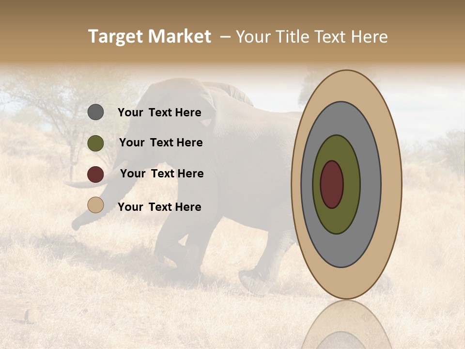 Wildlife Elephant Africa PowerPoint Template