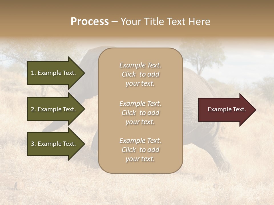 Wildlife Elephant Africa PowerPoint Template