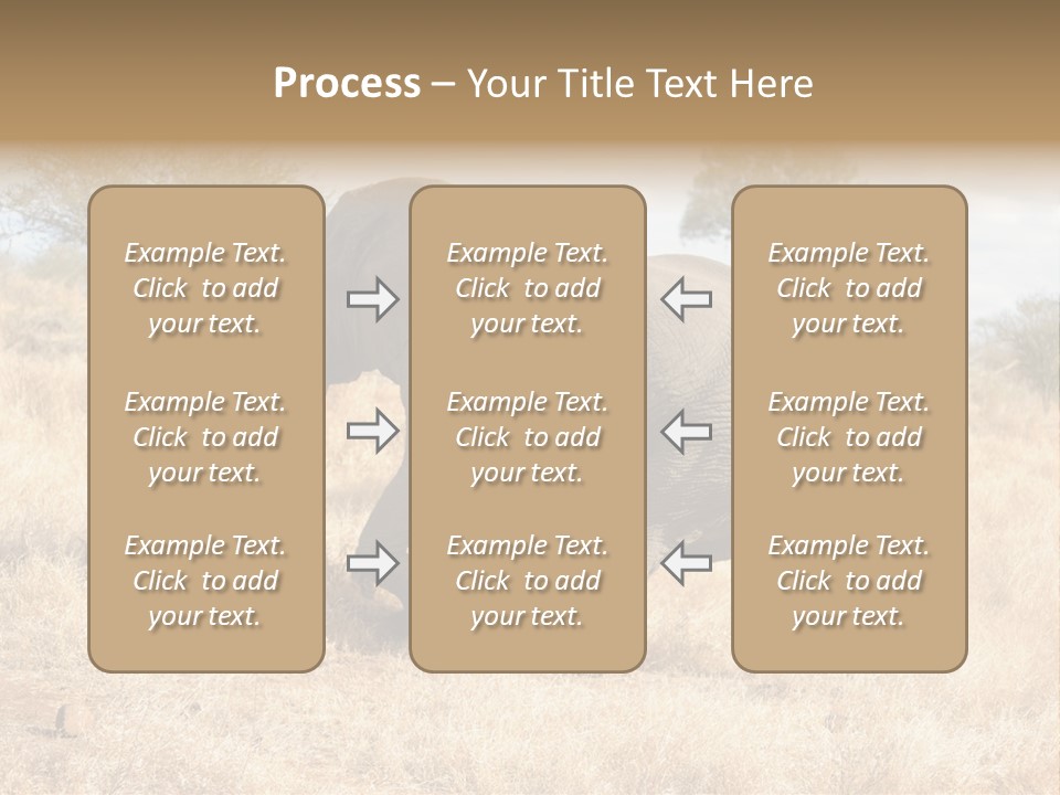 Wildlife Elephant Africa PowerPoint Template