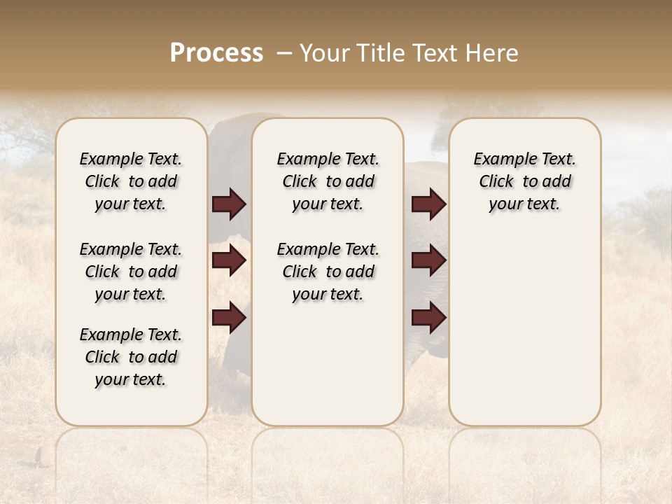 Wildlife Elephant Africa PowerPoint Template