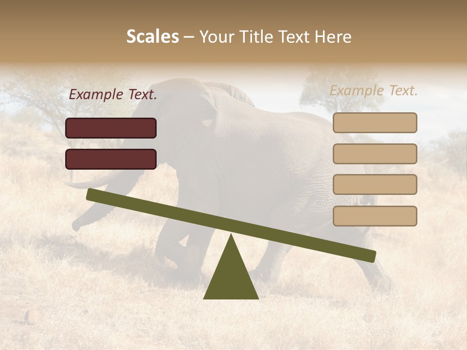 Wildlife Elephant Africa PowerPoint Template