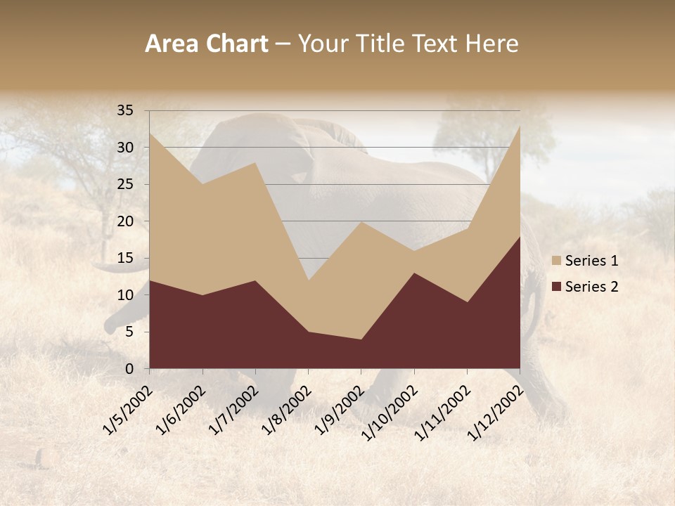 Wildlife Elephant Africa PowerPoint Template