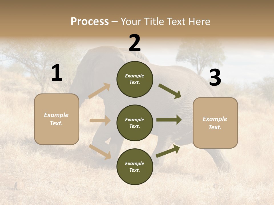 Wildlife Elephant Africa PowerPoint Template