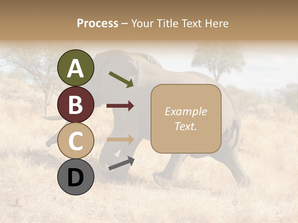 Wildlife Elephant Africa PowerPoint Template