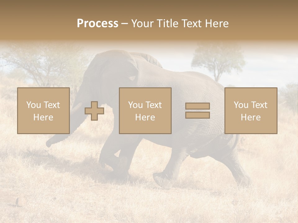 Wildlife Elephant Africa PowerPoint Template
