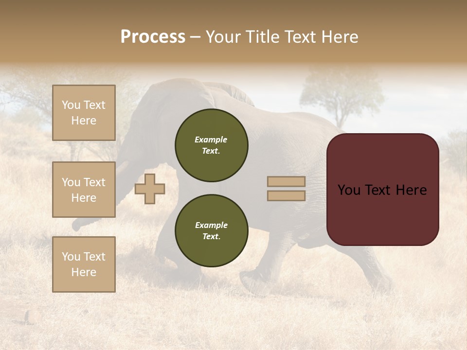 Wildlife Elephant Africa PowerPoint Template