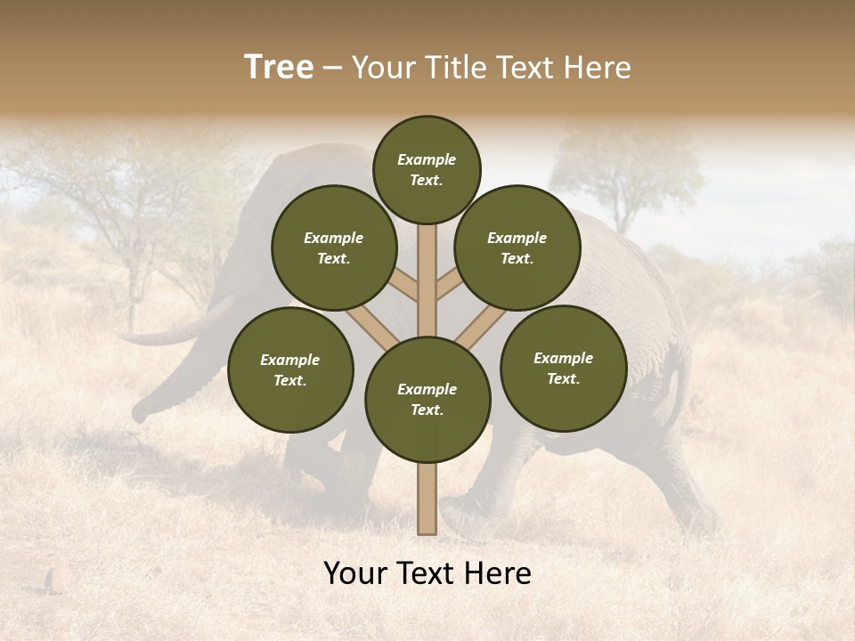 Wildlife Elephant Africa PowerPoint Template