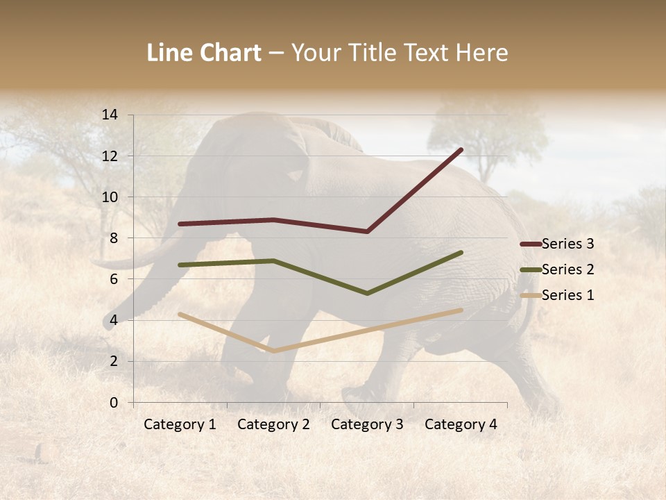 Wildlife Elephant Africa PowerPoint Template