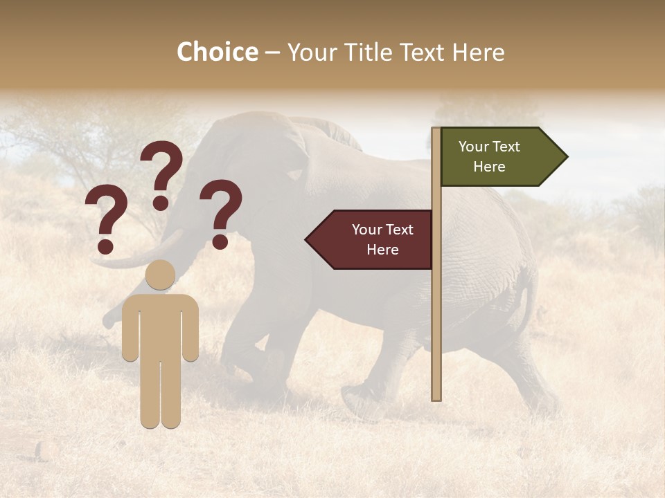Wildlife Elephant Africa PowerPoint Template