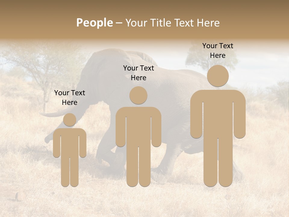 Wildlife Elephant Africa PowerPoint Template