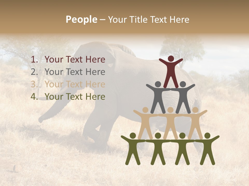 Wildlife Elephant Africa PowerPoint Template