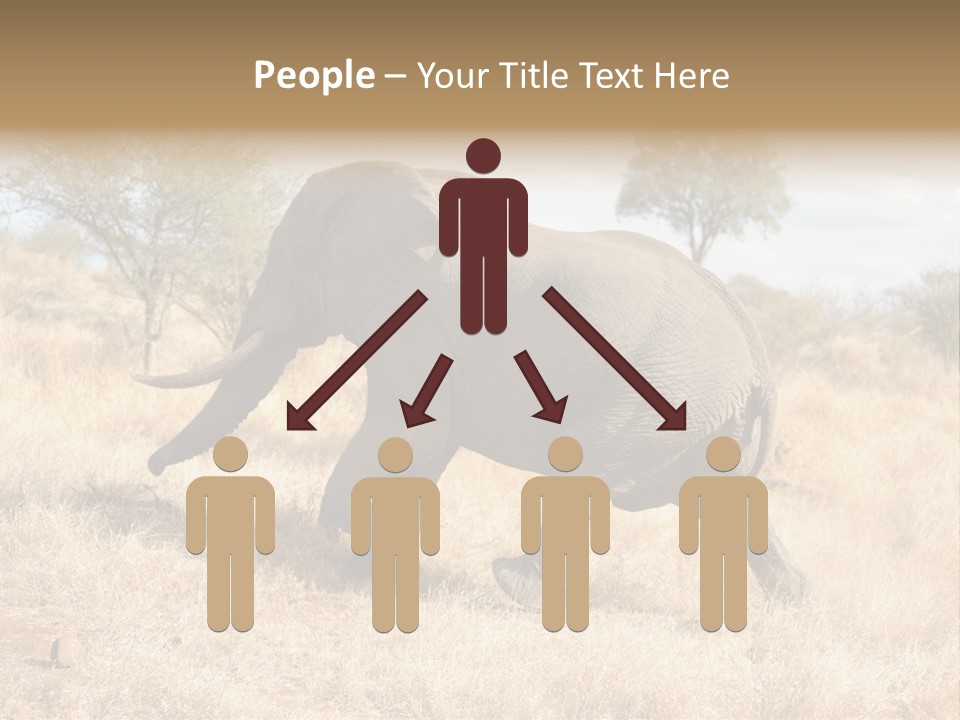 Wildlife Elephant Africa PowerPoint Template