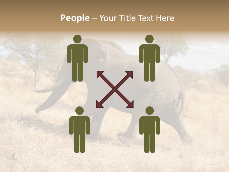 Wildlife Elephant Africa PowerPoint Template
