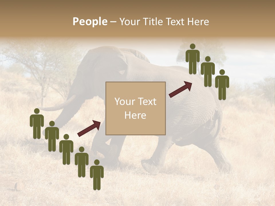 Wildlife Elephant Africa PowerPoint Template
