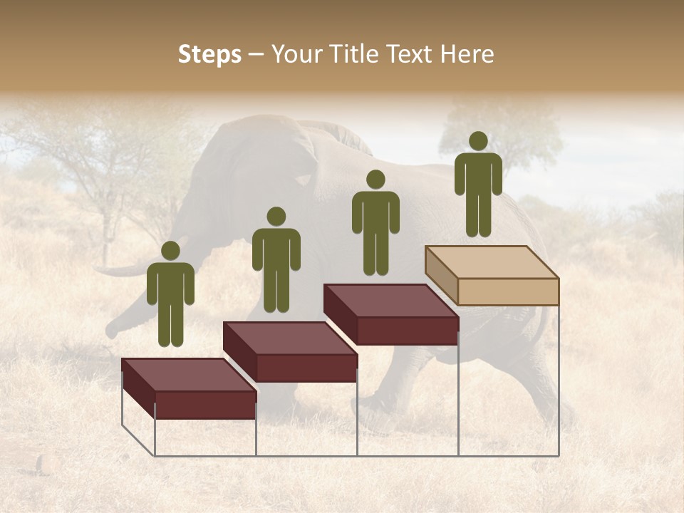 Wildlife Elephant Africa PowerPoint Template