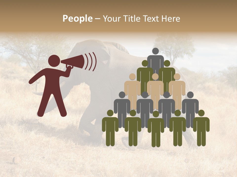 Wildlife Elephant Africa PowerPoint Template