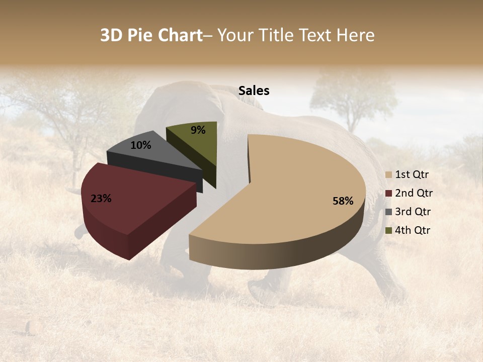 Wildlife Elephant Africa PowerPoint Template
