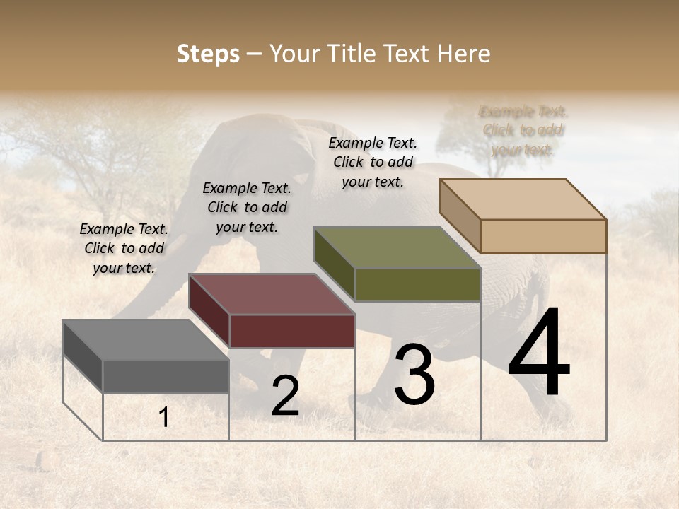 Wildlife Elephant Africa PowerPoint Template