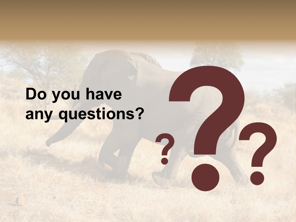 Wildlife Elephant Africa PowerPoint Template