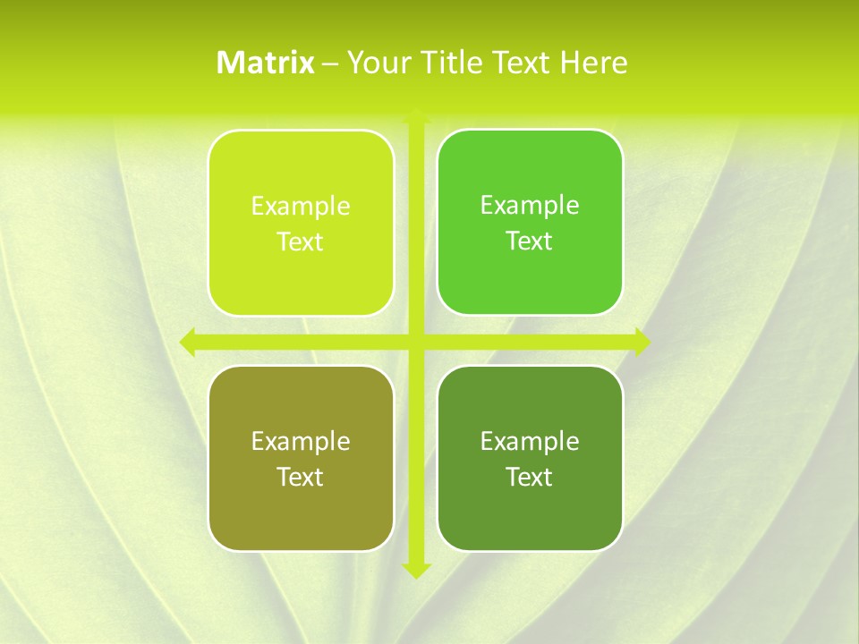 Natural Bright Flora PowerPoint Template