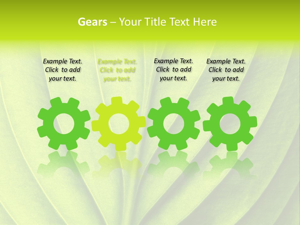 Natural Bright Flora PowerPoint Template