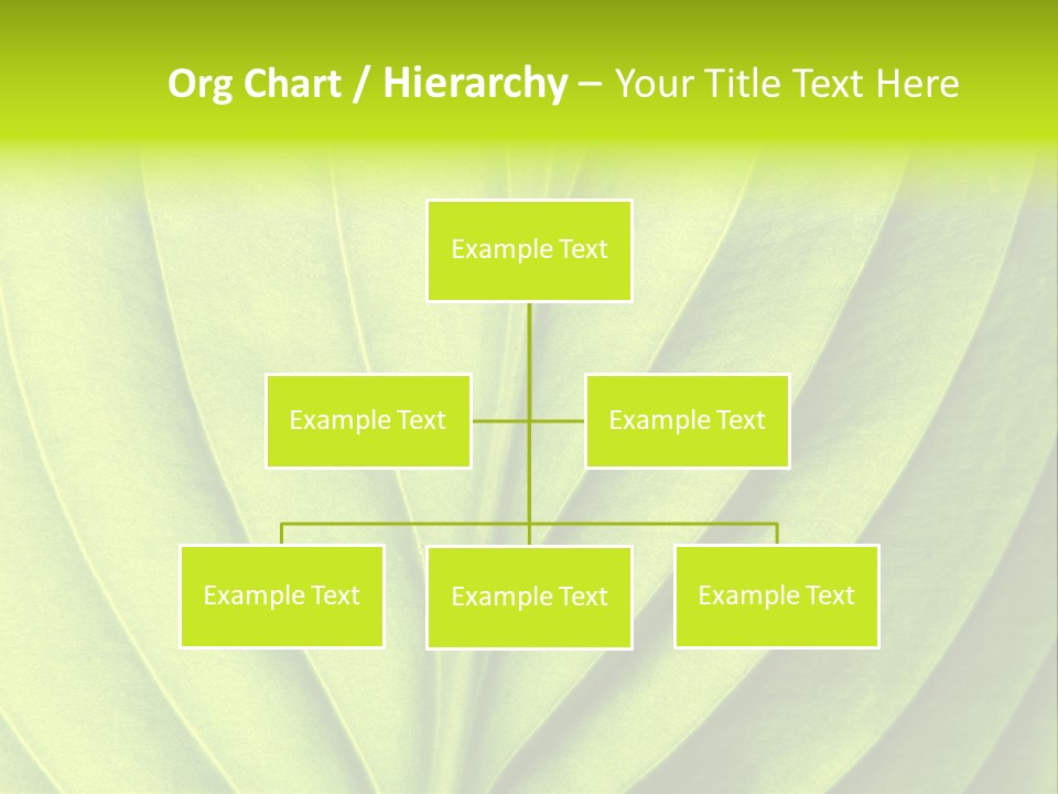 Natural Bright Flora PowerPoint Template