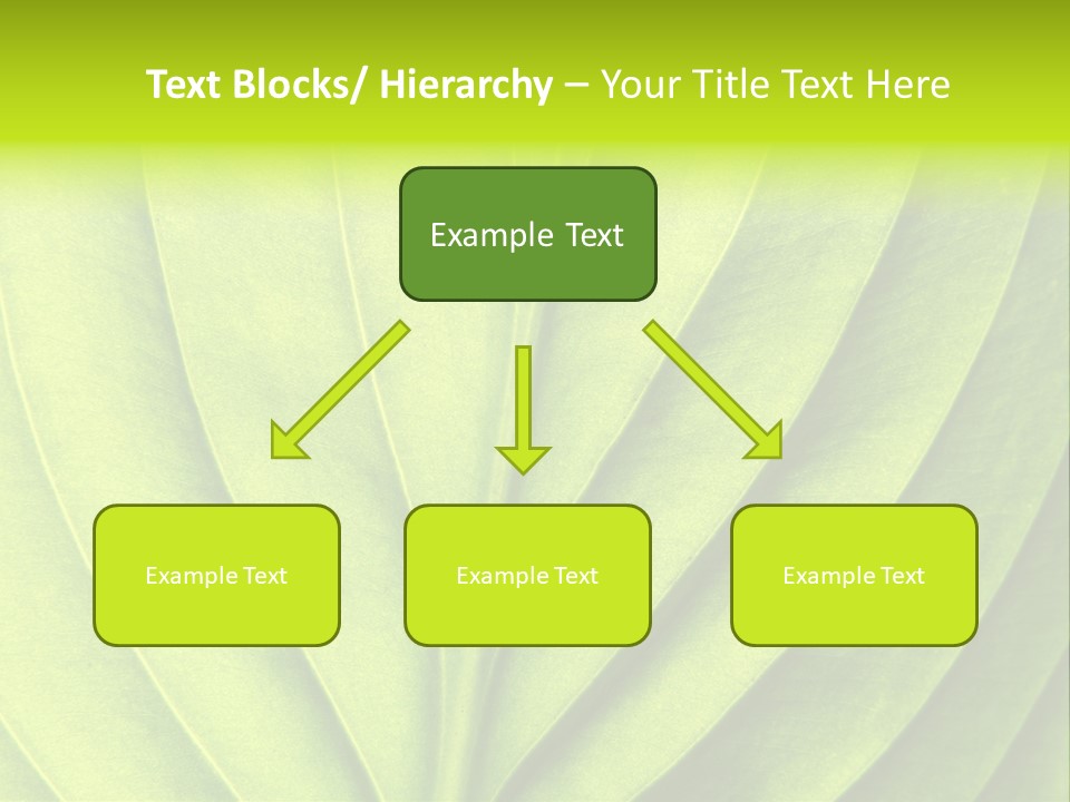 Natural Bright Flora PowerPoint Template