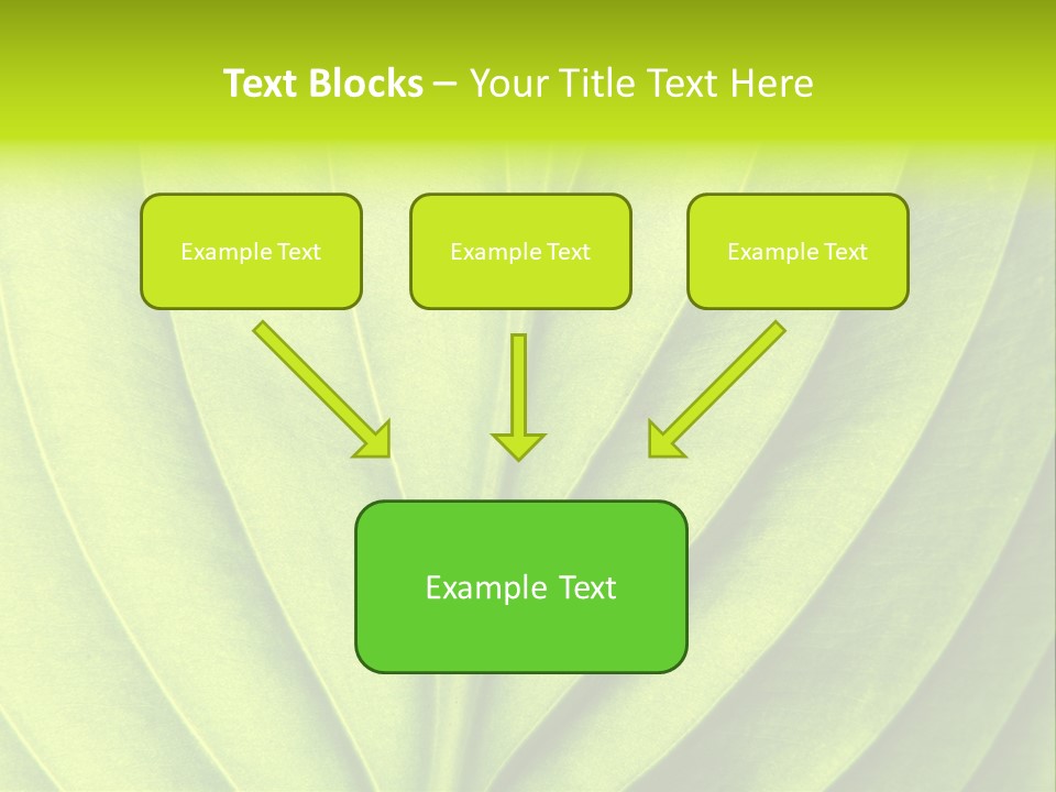 Natural Bright Flora PowerPoint Template